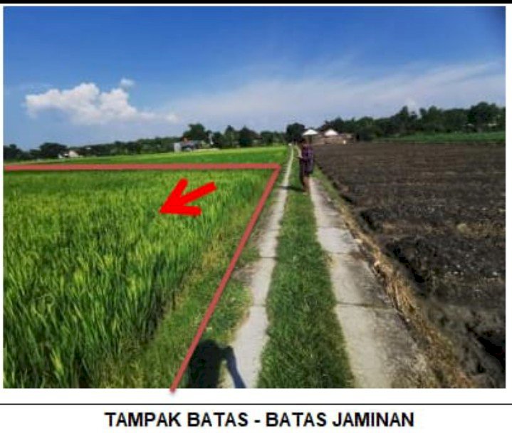 Tanah Kelurahan Sukosewu Kecamatan Sukosewu Kab Bojonegoro