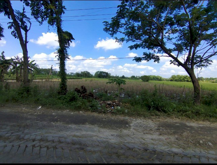 Tanah Kelurahan Jampet Kecamatan Ngasem Kabupaten Bojonegoro