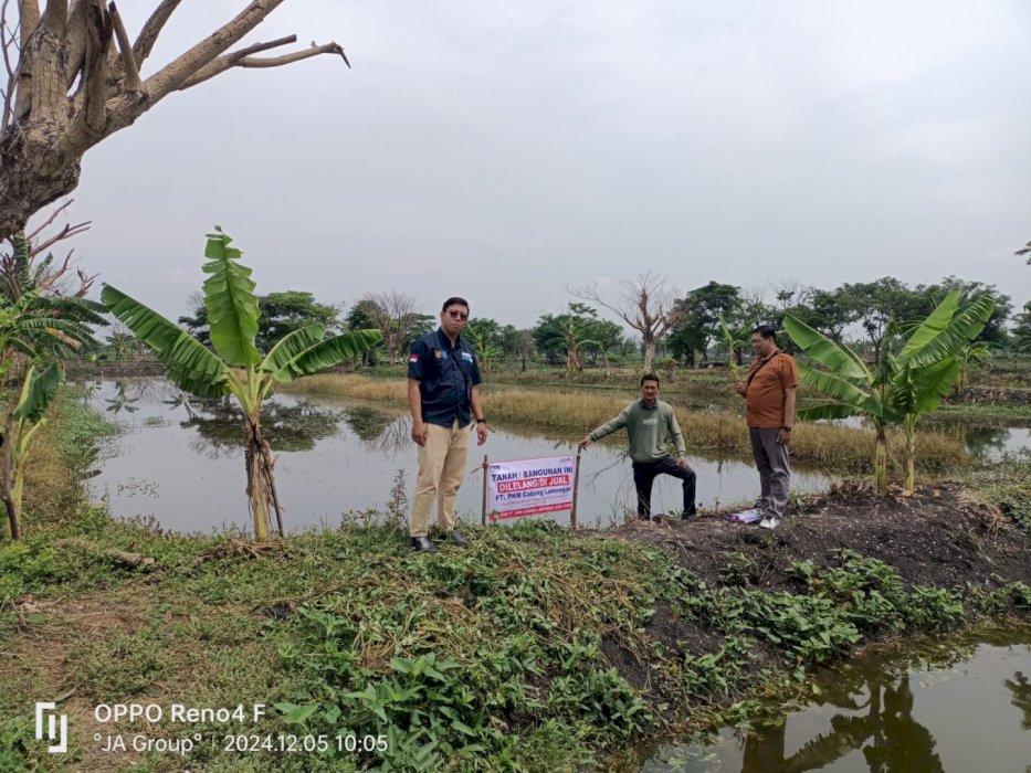 Lahan Tambak Kel Putat Bangah Kec Karang Binangun Kab Lamongan
