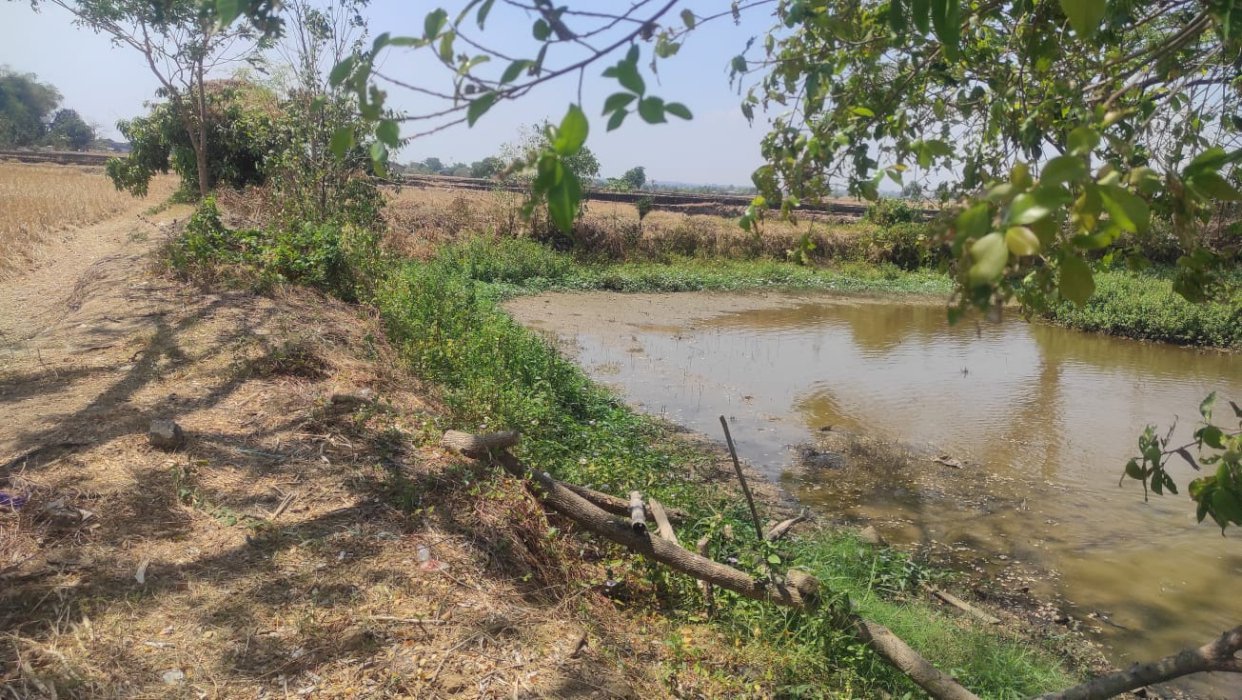 Tanah Kelurahan Beru Kec Sarirejo Kab Lamongan
