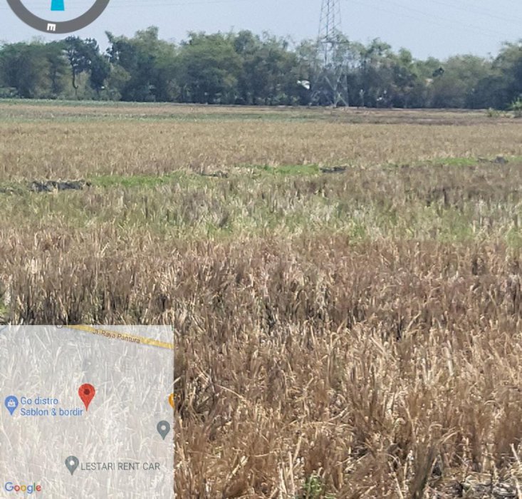 Tanah Kelurahan Plumpang Kec Sukodadi Kab Lamongan