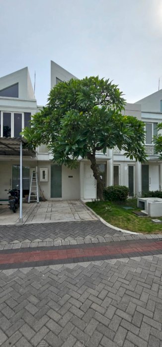 Jl Adelaide JF 10 - 032 Grand Pakuwon Manukan Wetan Tandes Sby