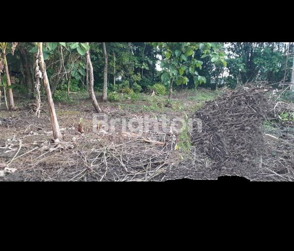 Jual Tanah Murah Pinggir Jalan Kota Madiun