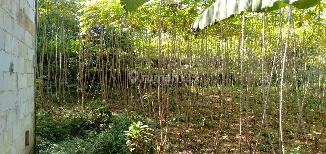 DI JUAL TANAH DEKAT SENTUL CITY