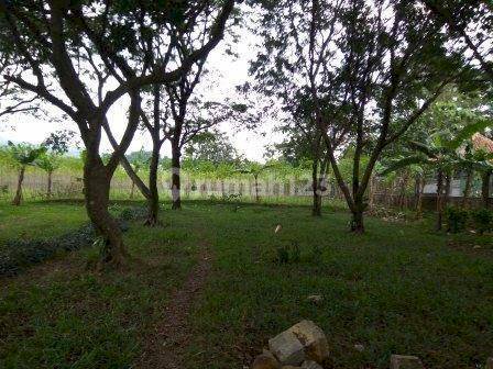 TANAH BOGOR , NAGRAK - SUKARAJA