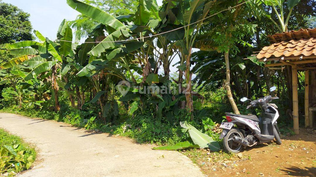 TANAH MURAH PAMIJAHAN BOGOR , JAWA BARAT