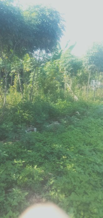 Jual tanah 150 m dekat perumahan regency Bekasi Timur