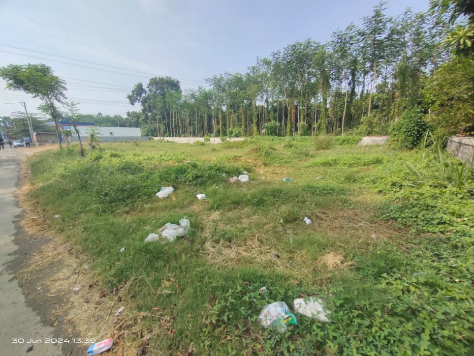 Tanah Kelurahan Kersikan Kec Gondang Wetan Pasuruan