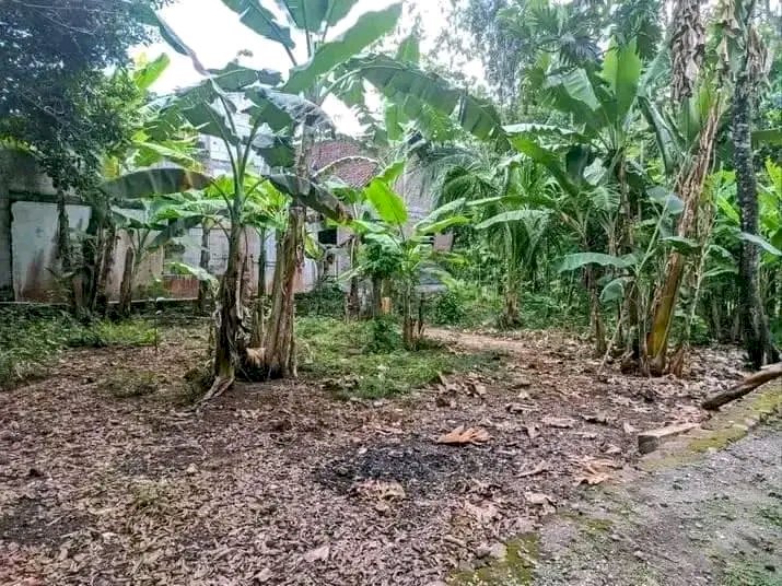 DIJUAL TANAH PEKARANGAN  Lokasi: Kedungori, Kedungdowo, Andong,