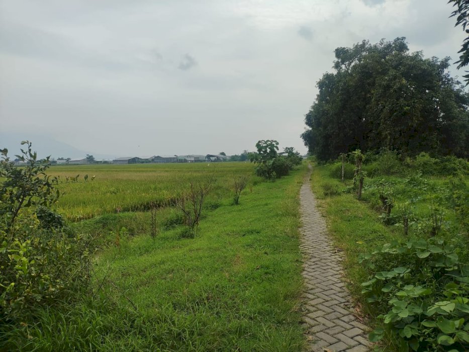 Tanah Kelurahan Randegan Kec Tanggulangin Kab Sidoarjo