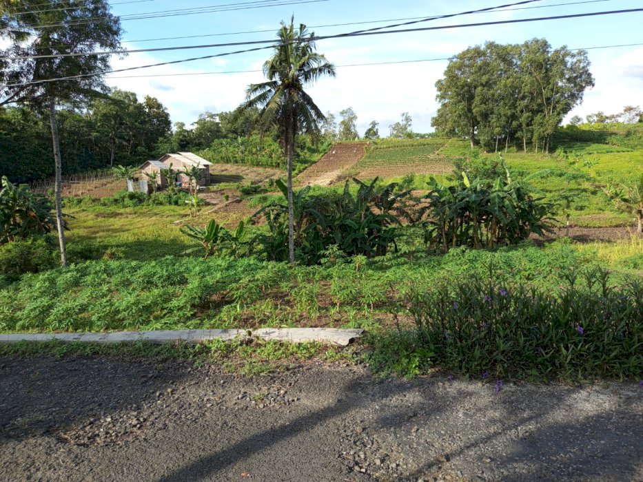 Bismillah jual tanah bebas banjir