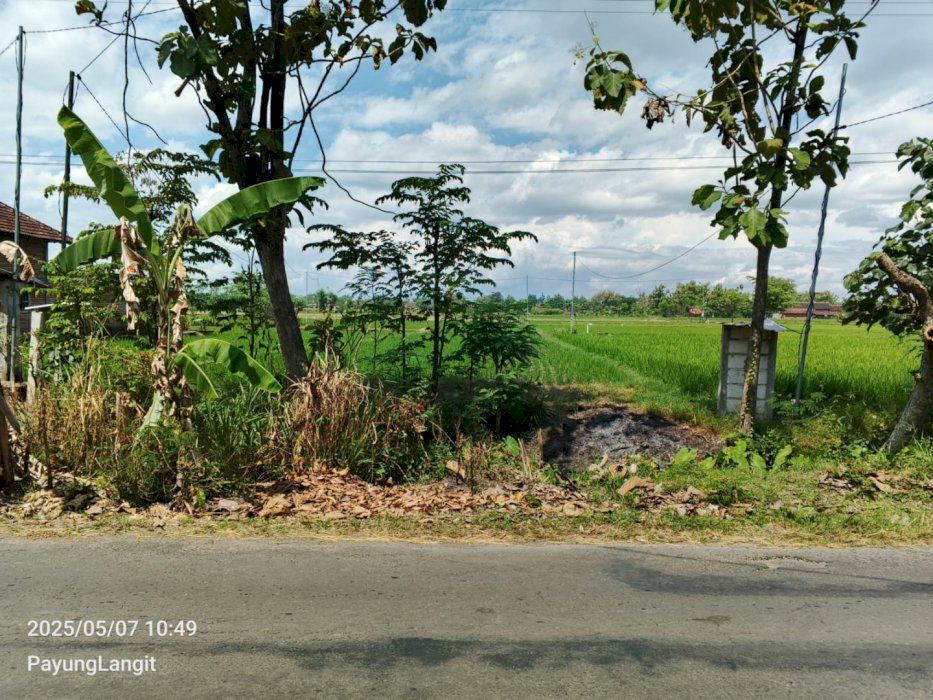 Tanah Kelurahan Tanjung Rejo Kecamatan Kebonsari Kabupaten Madiun
