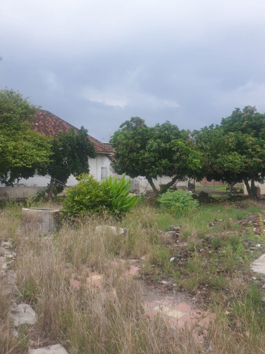 Dijual tanah cocok untuk pembangunan dan investasi Mangunharjo