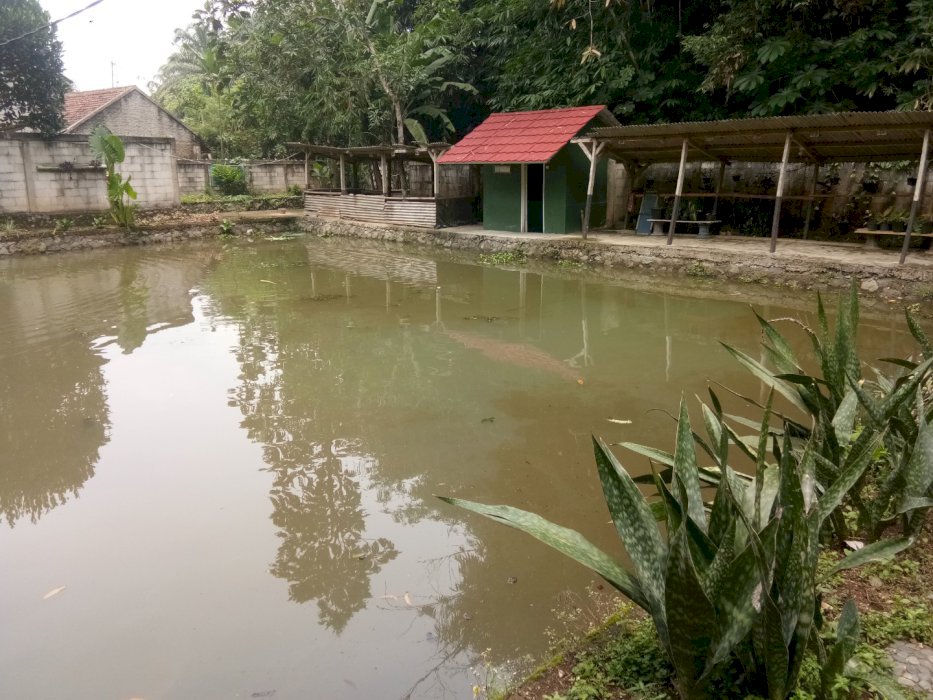 Dijual Tanah dan Kolam Ikan di Bantarjaya Ranca Bungur Bogor