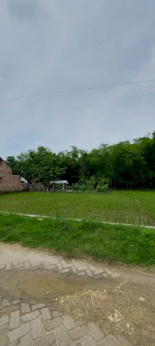 Tanah Kelurahan Cangakan Kecamatan Kanor Kabupaten Bojonegoro