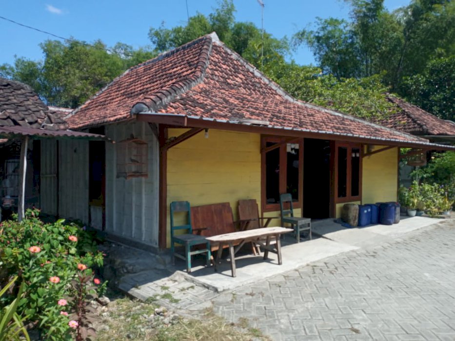 Rumah Kelurahan Panjang Kecamatan Kedungadem Kabupaten Bojonegoro