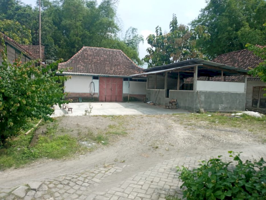 Rumah Kel Panjang Kec Kedungadem Kab Bojonegoro
