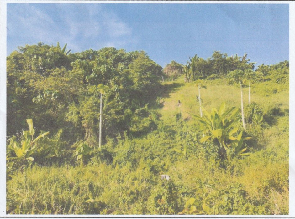  DIJUAL TANAH MURAH !  COCOK UNTUK USAHA & INVESTASI !