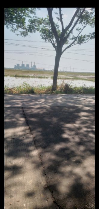 Dijual cepat tanah dengan luas 1.6 hektar