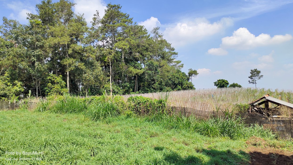 Di jual tanah premium lokasi strategis di Buniwangi Dago Bandung