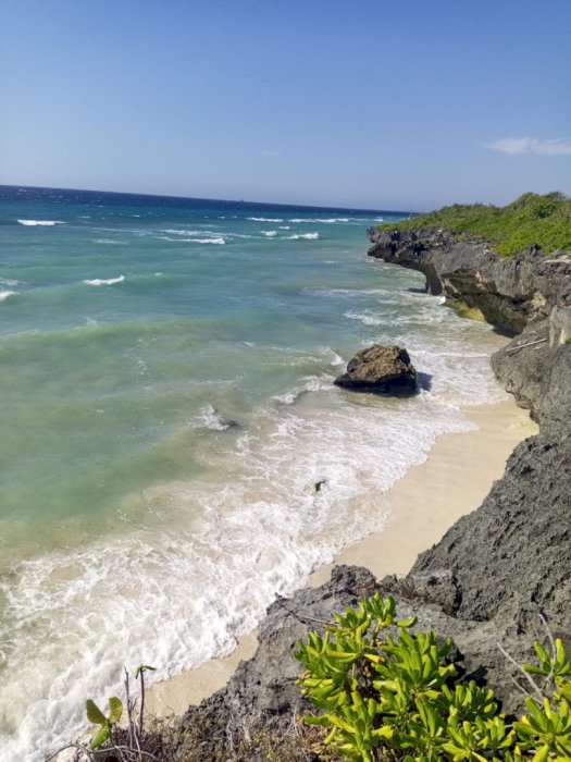 DIJUAL CEPAT: TANAH PINGGIR PANTAI WEE WELLA, SUMBA BARAT DAYA, NTT