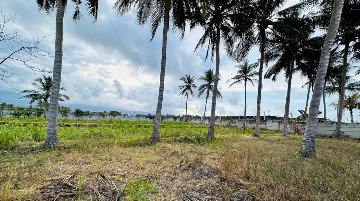 Kesempatan Emas Memiliki Tanah Di Lombok, Sangat Strategis