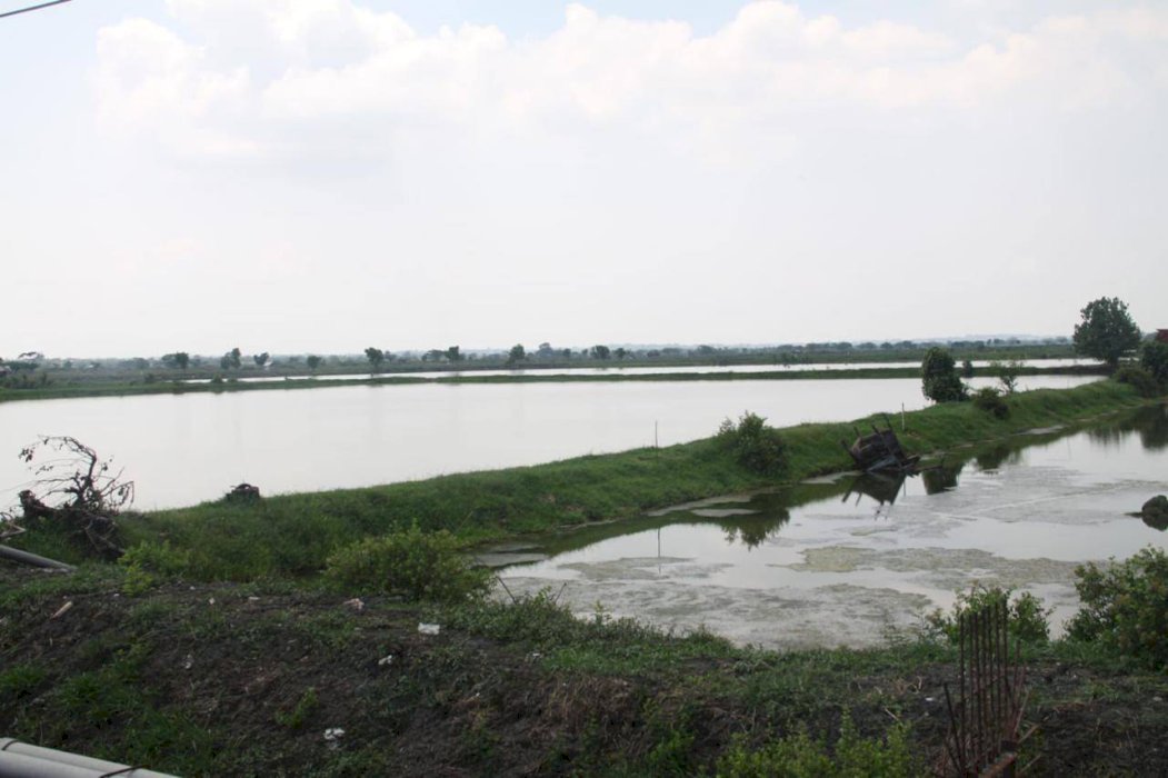 Tambak Di0 Jl Raya Daendles Gresik Dkt Pelabuhan Jiipe Dan Shorbase