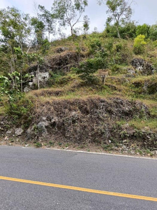 Dijual Cepat Tanah SHM 7,2 Ha