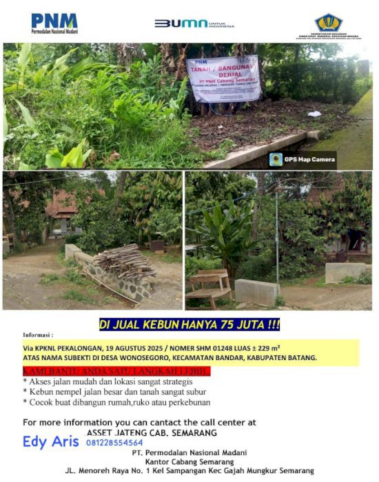 Di Jual kebun wonosegoro