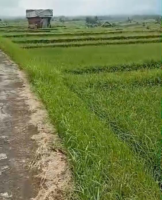 Plot kecil jarang ada by CV Uangland Persada