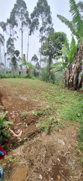 Jual Tanah Lokasi Startegis, Udara Sejuk di Pangalengan, Bandung