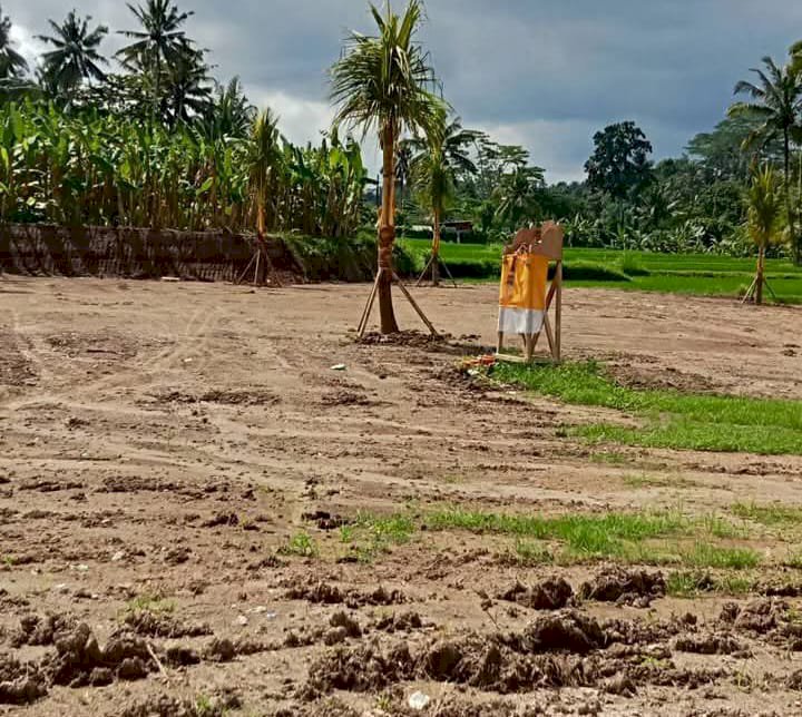 Proyek kavling CV Uangland Persada di Bali