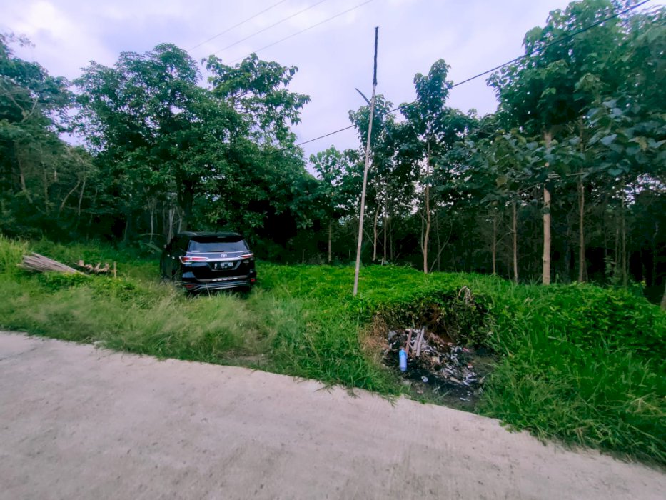 Tanah dijual murah 100 rb permeter