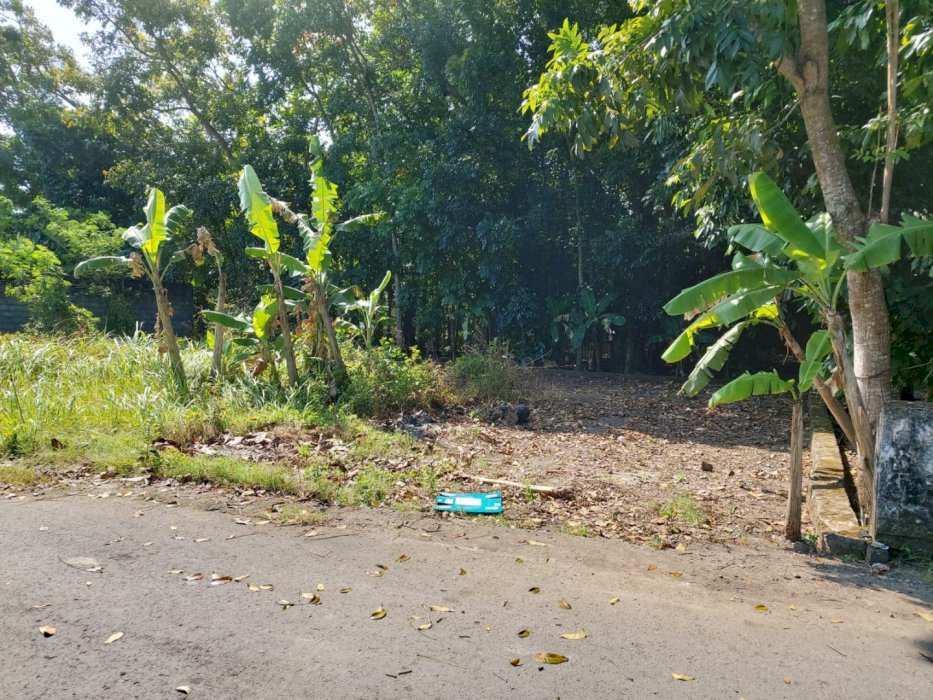 Dijual tanah cocok untuk investasi desa patalan bantul DIY