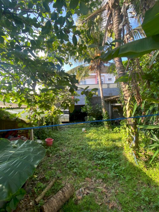 Di jual tanah strategis di Kediri Tabanan Bali