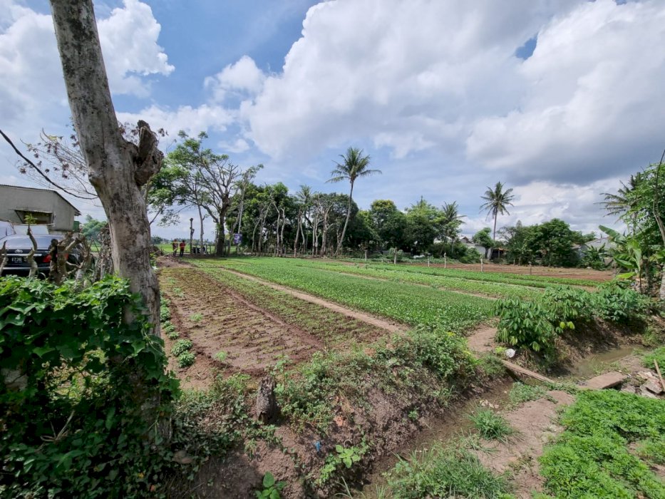 Tanah SHM Dekat PIK 2 – BONUS Harga Murah Beli Langsung 2 Bidang