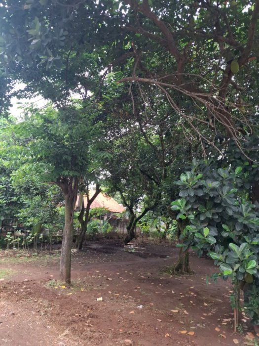 Dijual tanah lokasi strategis di kab.subang