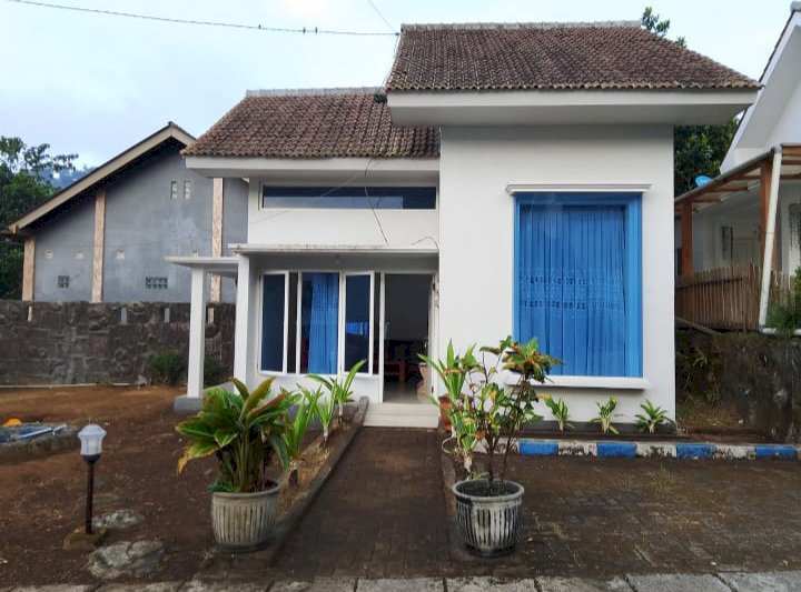 VILLA DIJUAL – BROMO, PROBOLINGGO