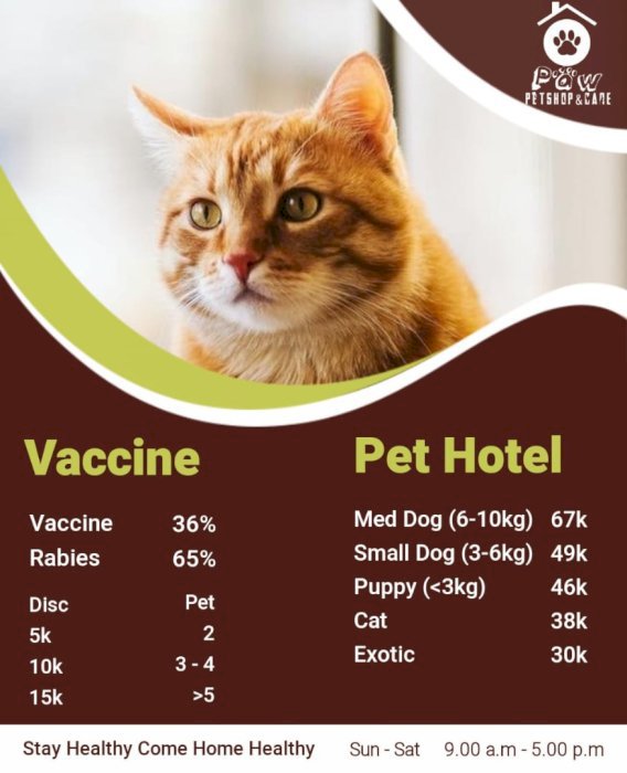 petshop surabaya murah meriah