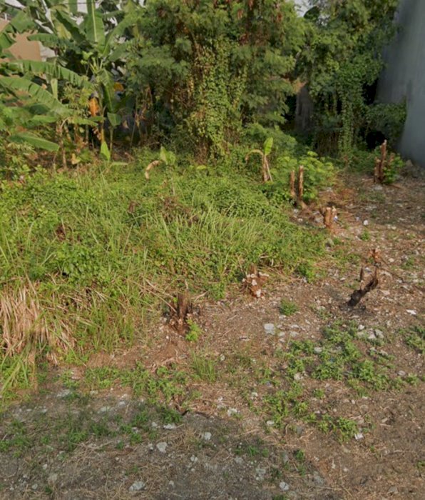 Kavling rumah siap bangun, jarang ada