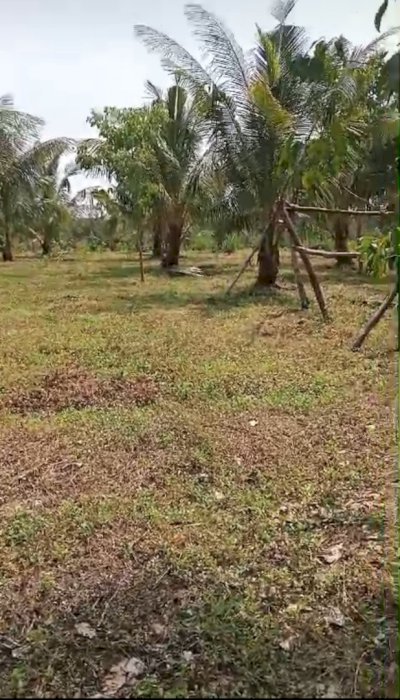 Dijual Lahan di Pulau Bintan