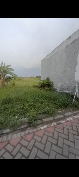 Jual tanah murah saja beli 1/2 juga bisa