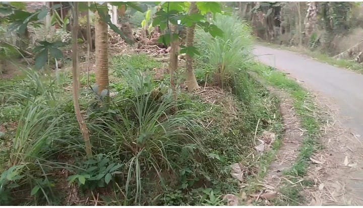 Dijual tanah pekarangan di borobudur,jawa tengah