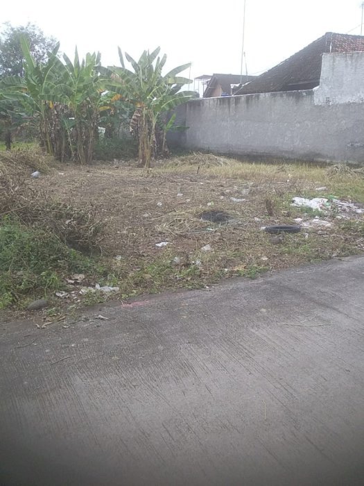 Tanah pekarangan dijual