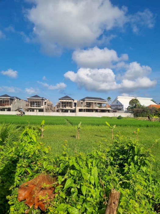 RARE FIND: SMALL PLOT FOR LEASE IN CENTRAL PETITENGET, SEMINYAK