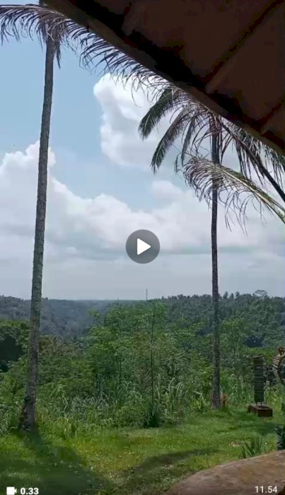 JUAL 10 HEKTAR  ADA AIR TERJUN DI UBUD BALI RP 125JT/ARE