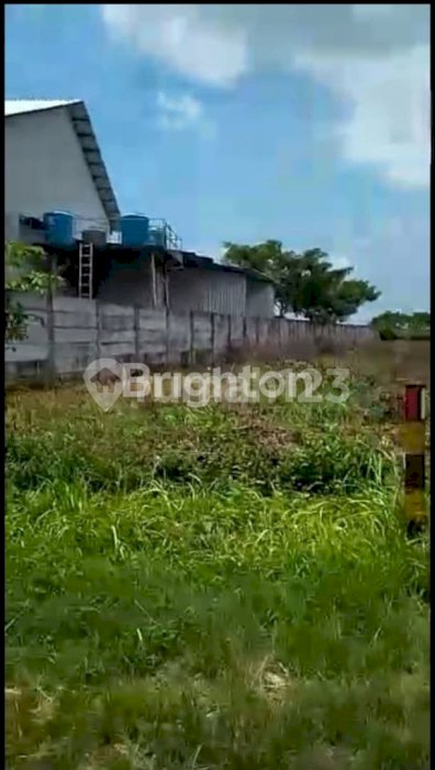 TANAH DI KEDAMEAN GRESIK