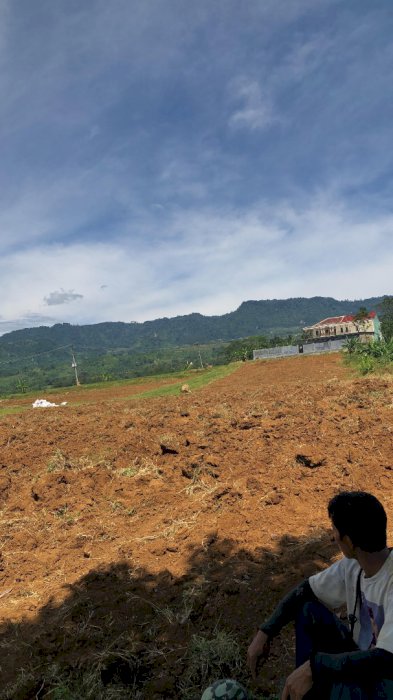 Jual BU tanah kebun produktif cocok untuk berkebun atau investasi