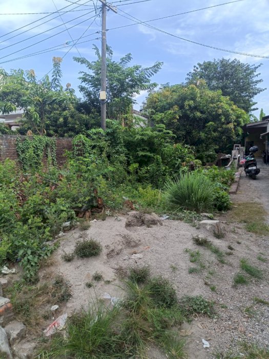 Dijual tanah cocok untuk investasi Kelapa sepuluh Sidoarjo Jawa Timur