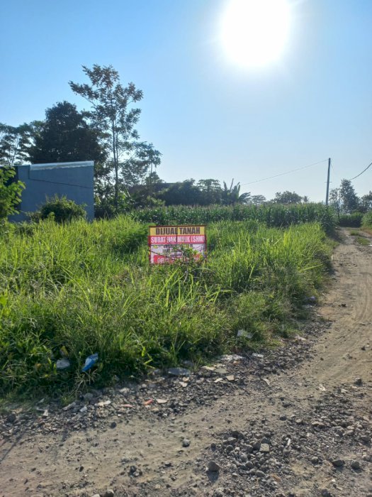 Jual Tanah Murah Lokasi Strategis Di Randudongkal Pemalang